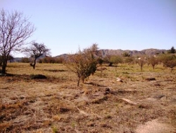 EXCELENTE TERRENO DE 5.300 Mt2, CON FONDO AL ARROYO LAS MOJARRAS, GRAN OPORTUNIDAD. Ideal para hotel o Complejo