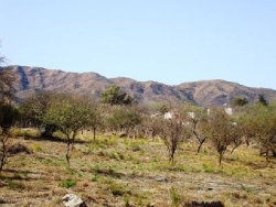 EXCELENTE TERRENO DE 5.300 Mt2, CON FONDO AL ARROYO LAS MOJARRAS, GRAN OPORTUNIDAD. Ideal para hotel o Complejo